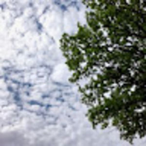 Meet your Posher, Madie